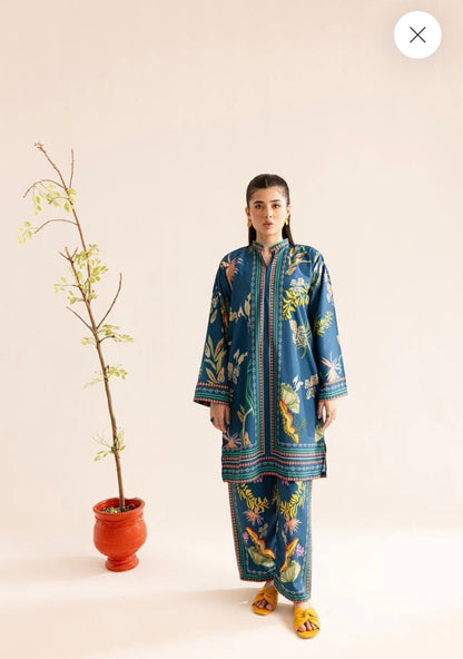 Noura Blue Printed Co-Ord Set for Women 907