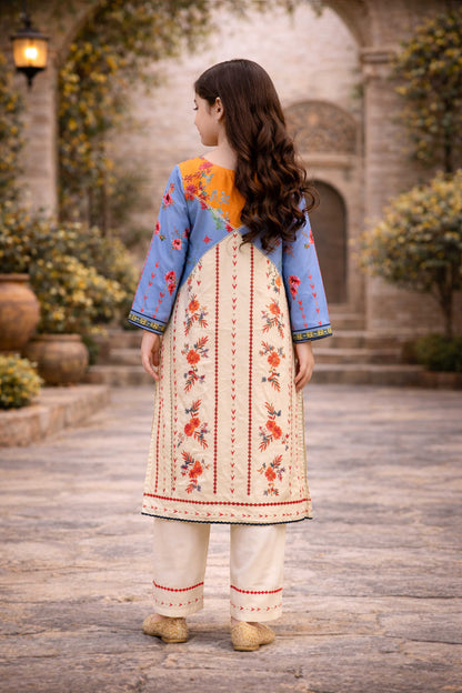 Noura Printed Trending Co-ord set KID  916
